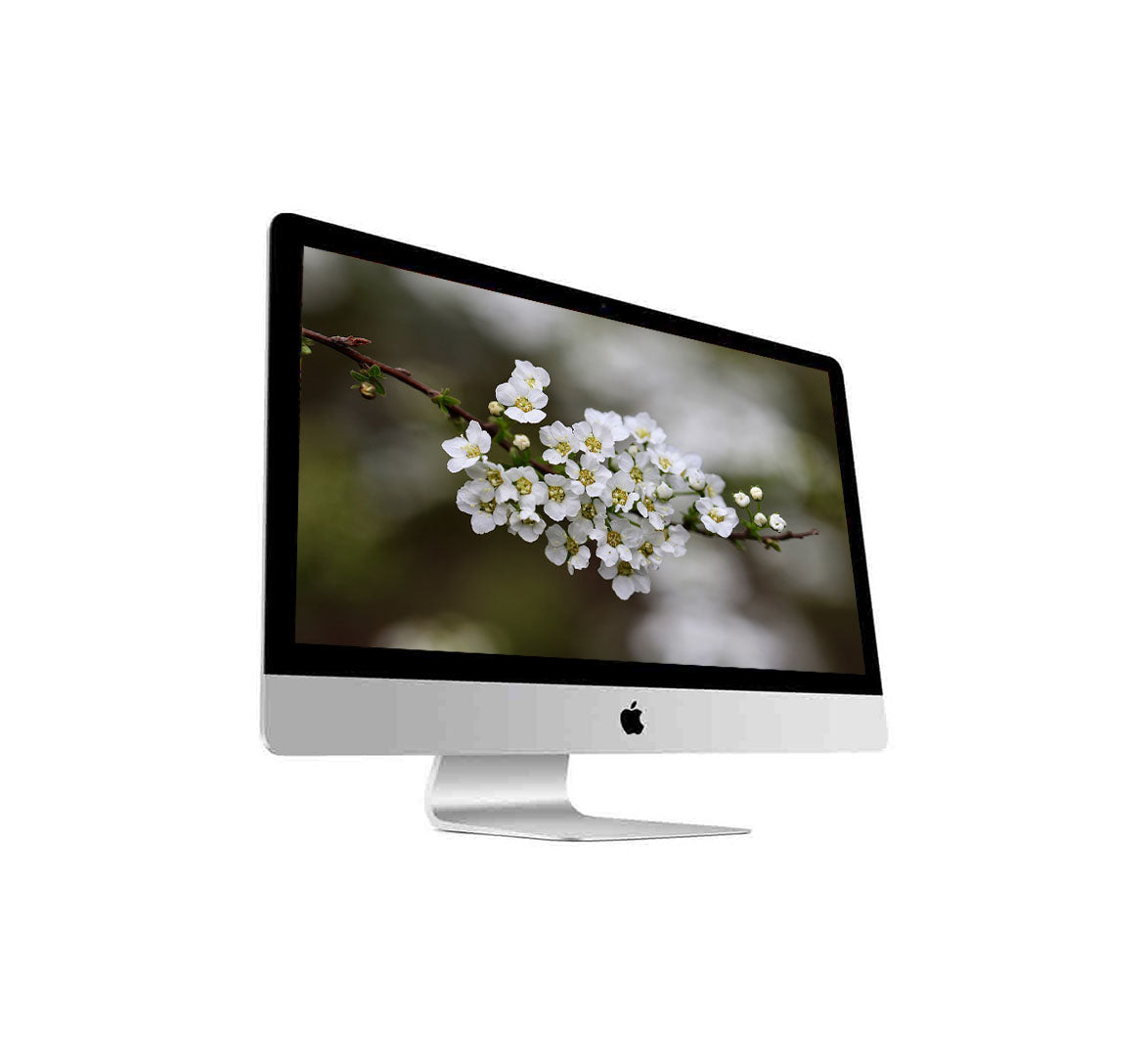 Apple iMac A1418 EARLY 2013 21.5